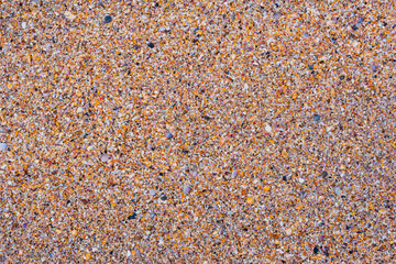 Full of small colorful shells on the beach.