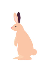 pink rabbit standing
