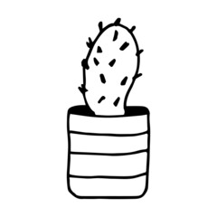 Houseplant in the pot in doodle style. Hand drawn potted plant for home. Hand drawn simple black outline vector illustration in cartoon doodle style, isolated. Home gardening