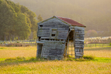 old abandoned house in the field