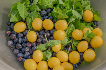 Blueberries, green mint and yellow plums
