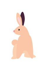 cute pink rabbit pet