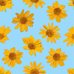 Pattern with yellow flowers on a blue background. Vector illustration. Abstract realistic flowers.