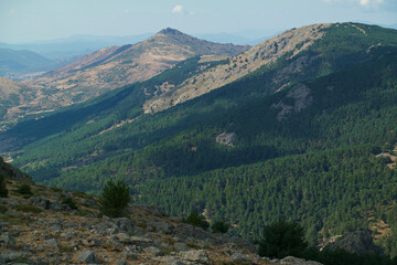 krajobraz góry widok drzewa natura hiszpania