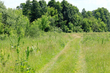 The dirt road through the fields