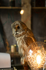 school location in the studio for September 1