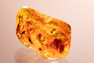 Genuine Baltic Amber with Ant inside. Collection Specimen