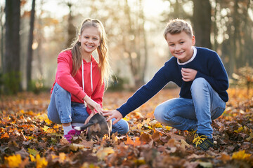 Boy and girl smiling and playing with little dog in beautiful autumn forest. Concept of weekend brother and sister.