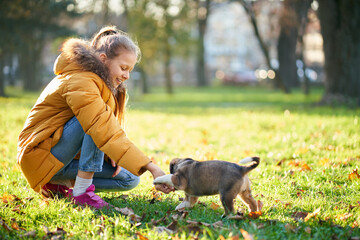 Naklejka na ściany i meble Blonde girl smiling and playing with favourite pet in autumn park. Concept of communication child with dog.