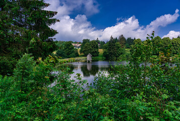 Kranichteich Hahnenklee