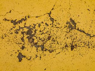 weathered and pealing yellow gold coloured wall