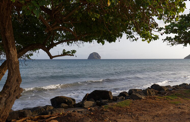 The picturesque Caribbean beach , Martinique island, French West Indies.