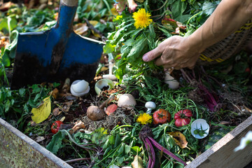 Compost box outdoors full with garden browns and greens and food  wastes, blue shovel in the soil,...
