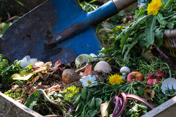 Compost box outdoors full with garden browns and greens and food  wastes, blue shovel in the soil,...