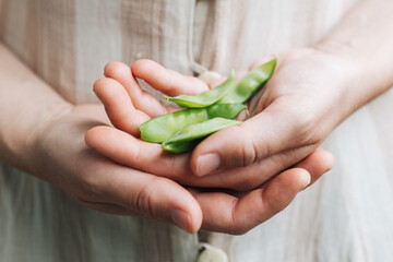 Hands holding snow peas