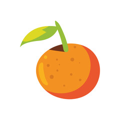 fresh orange fruit