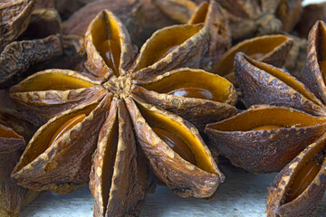 Close-up image of star anise.