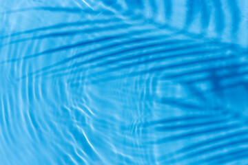 Palm leaf shadow, drop on blue water background. Top view, flat lay