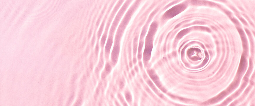 Texture Of Drops On Pink Water Under Sunlight. Top View, Flat Lay. Banner