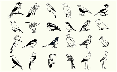 vector black outline birds collection set eps 10