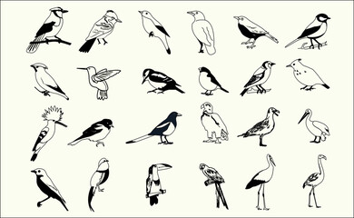 Fototapeta premium vector black outline birds collection set eps 10