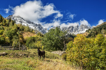Autumn in the Altiparmak Mountains