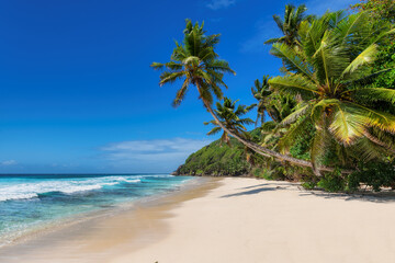 Coco palms on paradise Sunny wide beach with white sand and turquoise sea in tropical island. 