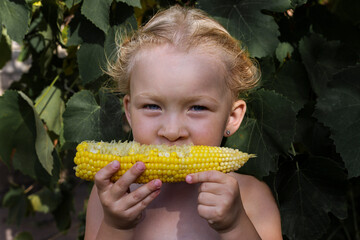 Girl with corn under natural light. Girl with vegetables. Real people