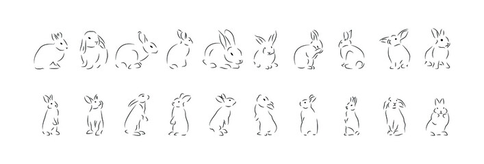 Rabbit contour, collection with rabbits in different positions, vector set with line art.