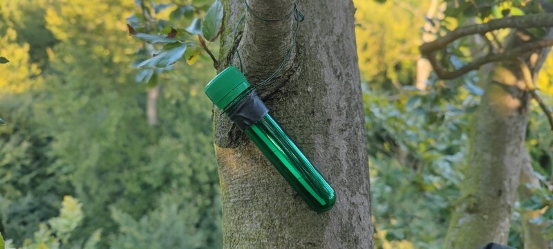 Geocache am Baum