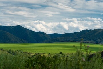 landscape with meadow, mountains and blue sky