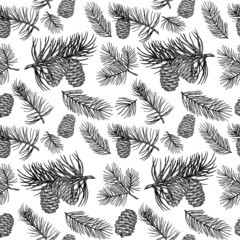 Hand drawn design vector elements. Seamless pattern. Forest collection of coniferous branches and pine cones isolated on white background. Fir cone sketch. - obrazy, fototapety, plakaty