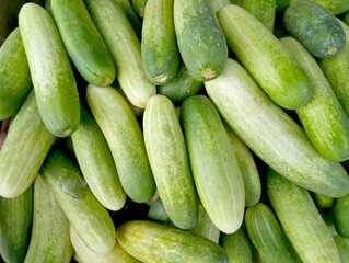 Close up photo of a bunch of cucumbers in fresh food ingredient market