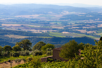 Fototapeta na wymiar Typical landscape of Tuscany, in Italy