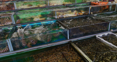 Fish tank selling seafood at restaurant