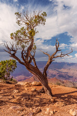Path Near the Desert Watch Tower