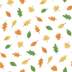 Autumn leaves hand drawn pattern. Leaf fall season. Vector leaves illustration isolated on white.