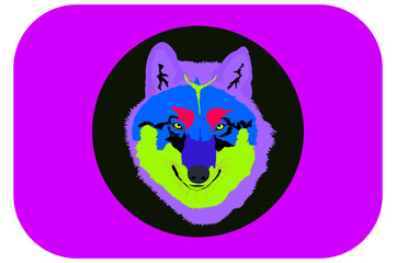 Wolf head bright colors vector