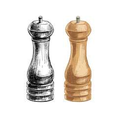 Wood pepper mill. Vector vintage hatching color illustration. Isolated on white