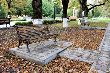 Bench in autumn park. Autumn landscape. Loneliness