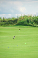 Obraz premium Links. Summer landscape overlooking the hills of the golf course.