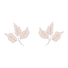 illustration brown beige nude flowers, one line drawing, line art, modern illustration and art, nature and plants minimalist design