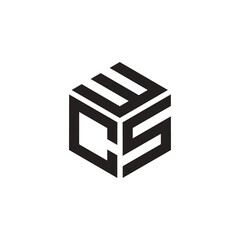 Hexagon logo with the letters WCS design
