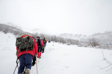 Group of mountaineers walking trough the mountains covered with snow...