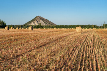 Mowed field and straw bales laid one after the other after harvest against the cloudy sky