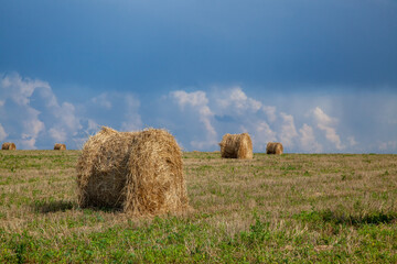 Mowed field and straw bales laid one after the other after harvest against the cloudy sky