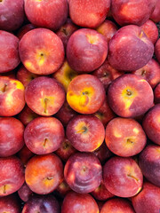 A bunch of Red Apple