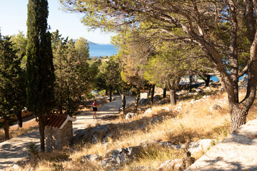 Promenade with pine trees on the St Nicholas hill in Tribunj, Croatia