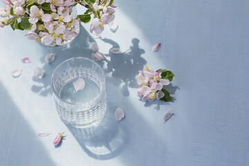 Glass of water on the table with blossoming apple tree branch in a glass