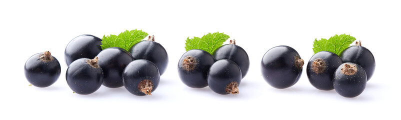 Collage of currant with leaves in closeup on white background